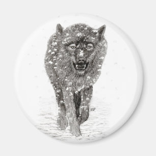 Imán Lobo negro enojado en la nieve, invierno salvaje