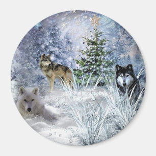 Imán Lobos en los Navidades una hiedra de invierno
