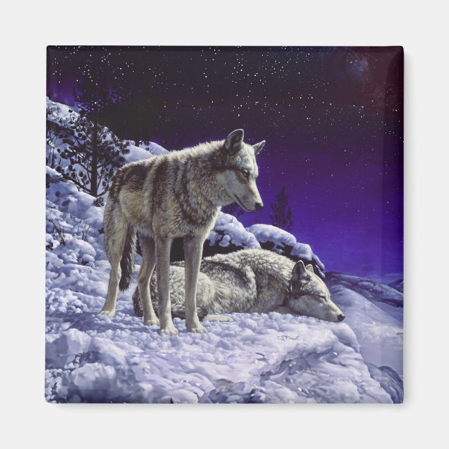Imán Lobos grises en la nieve de invierno de noche (Frente)