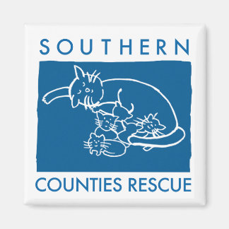 Imán (logotipo azul)