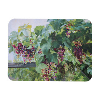 Imán Loire Valley Vineyard – French Grape Painting