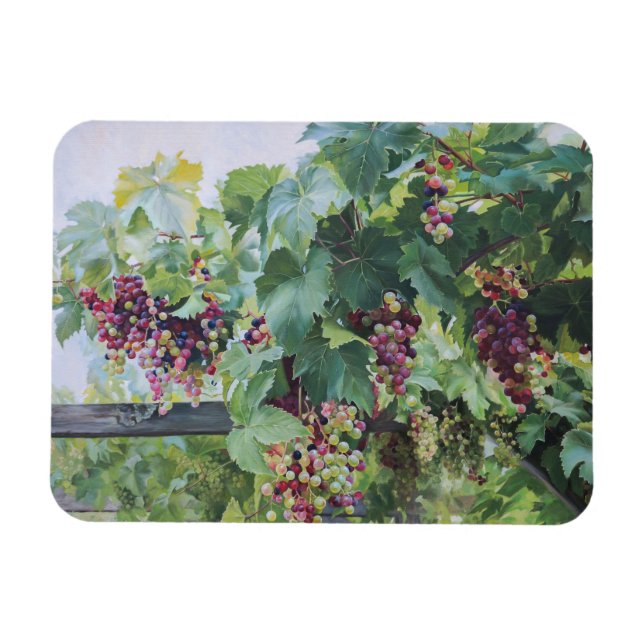 Imán Loire Valley Vineyard – French Grape Painting (Horizontal)