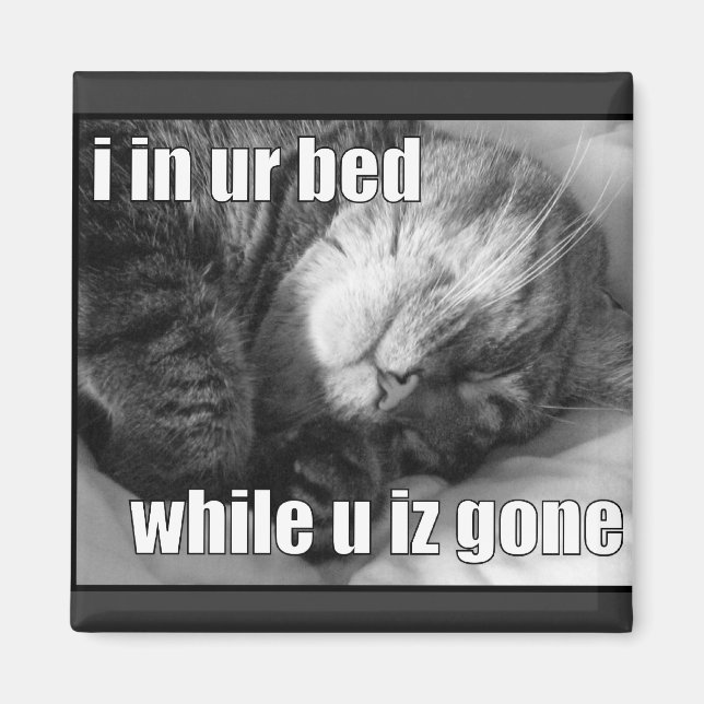 IMÁN LOLC11 (Frente)