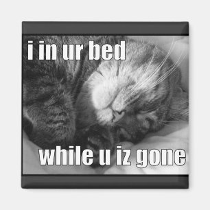 Imán LOLCat 1