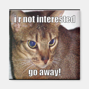 Imán LOLCat 3