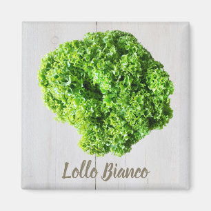 Imán Lollo Bianco Salad lechuga para Vegans