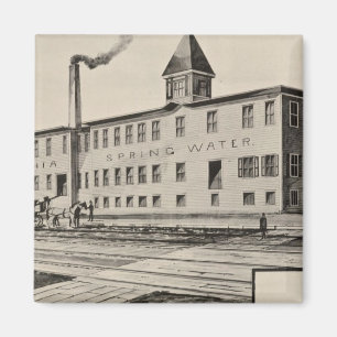 Imán Londonderry Lithia Spring Water Co