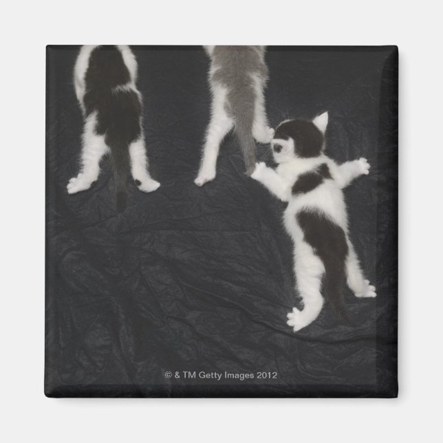 Imán Londres, Inglaterra, Reino Unido 2 (Frente)