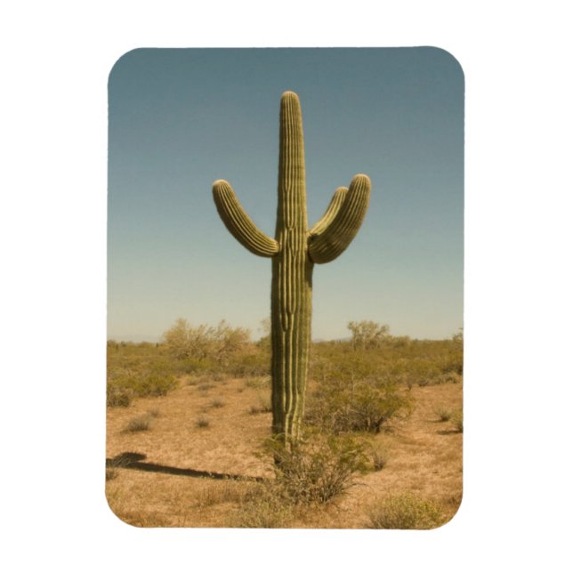 Imán Lone Cactus (Vertical)