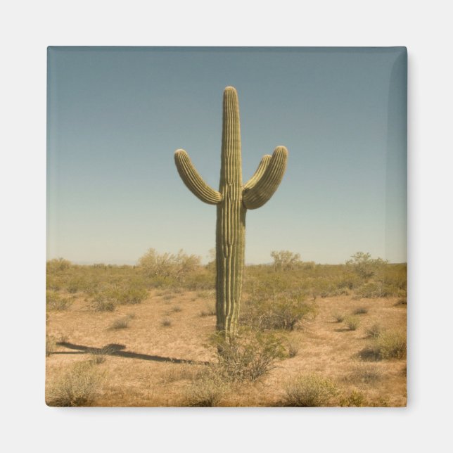 Imán Lone Cactus (Frente)