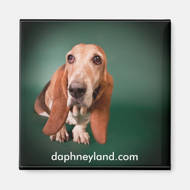 Imán Lonely Basset Magnet (Frente)