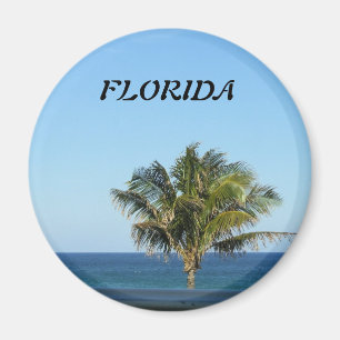 IMÁN LONELY PALM TREE