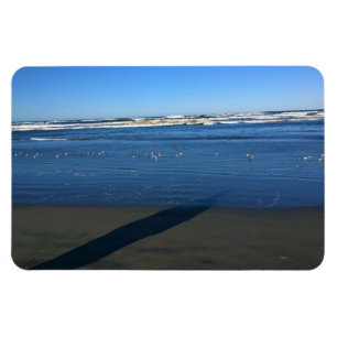 Imán Long Beach, Washington