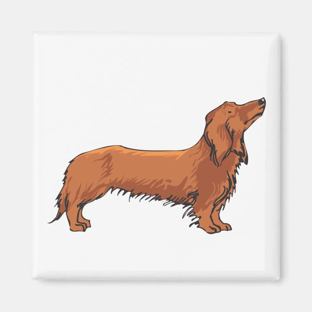 Imán Long Haired Dachshund (Frente)