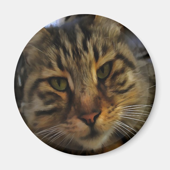 Imán Long Haired Tabby Cat Artistic Pet Portrait v2 (Frente)