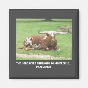 Imán Longhorn Magnet