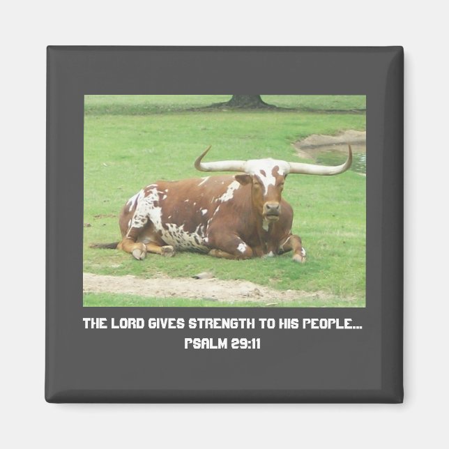 Imán Longhorn Magnet (Frente)