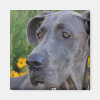 Imán Lookin' Bonito Magnet