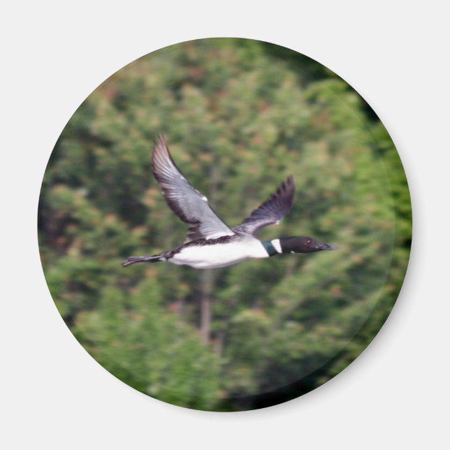 Imán Loon Magnet (Frente)