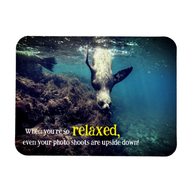 Imán López marino divertido bajo el agua (Horizontal)