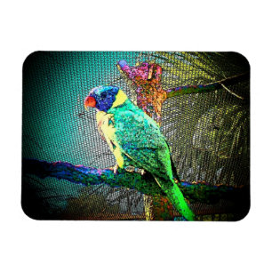 Imán Lorikeet Bird Magnet-Design 2