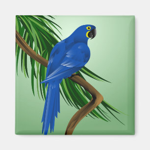 Imán Loro azul
