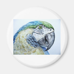 Imán loro azul