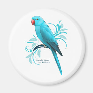 Imán Loro azul de Ringneck del indio