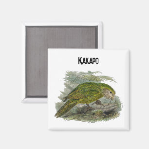 Imán Loro de búho verde Kakapo, Ilustracion de pájaro r