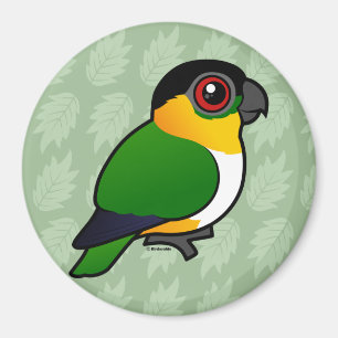 Imán Loro de cabeza negra