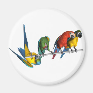 Imán Loro del Macaw