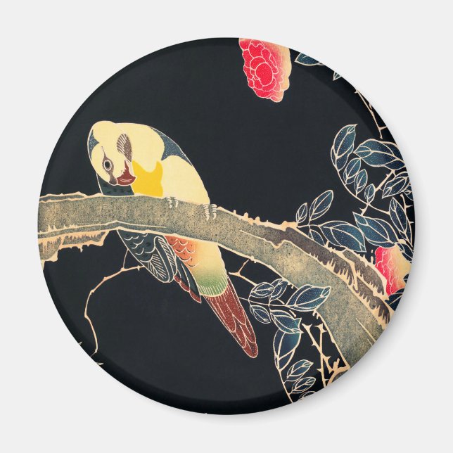 Imán Loro en la rama de un Rosa florido Bush (Frente)