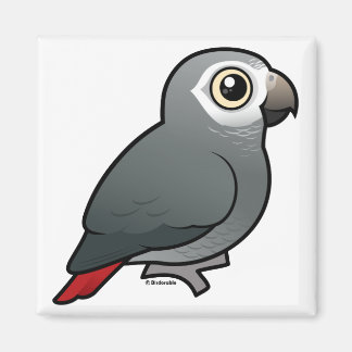 Imán Loro gris titánico