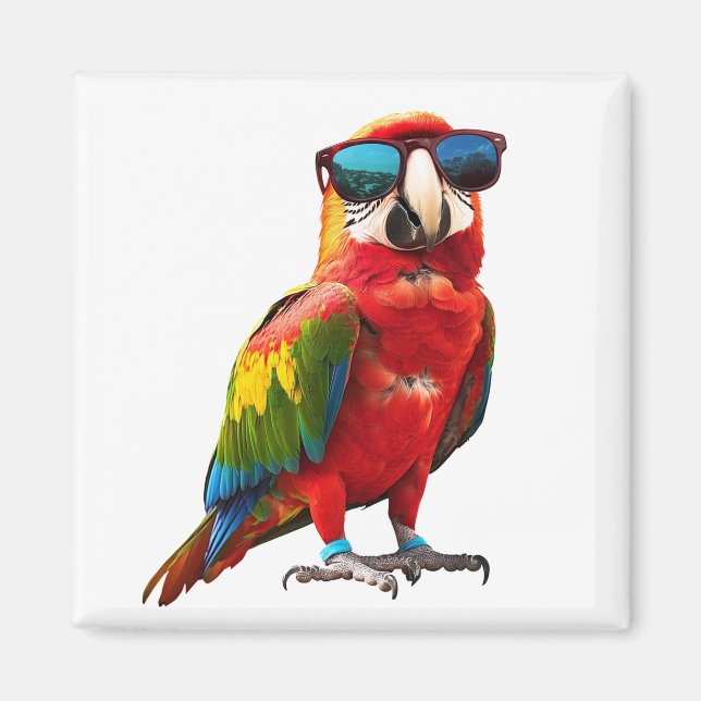 Imán Loro Guay con gafas de sol (Frente)