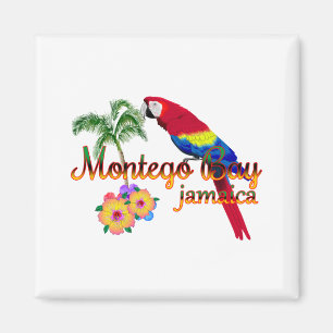 Imán Loro tropical de Montego Bay Jamaica