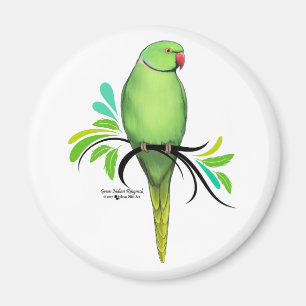 Imán Loro verde de Ringneck del indio