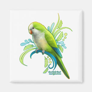 Imán Loro verde para cuáqueros