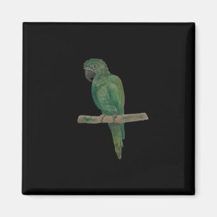 Imán Loro verde vibrante – Arte de acuarela pintado a m