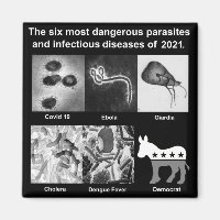 Los 6 parásitos e infecciosos más peligrosos