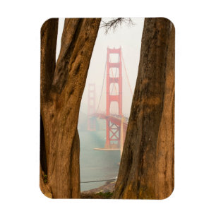 Imán Los árboles de puente Golden Gate el   de pasan