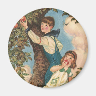 Imán Los árboles escaladores