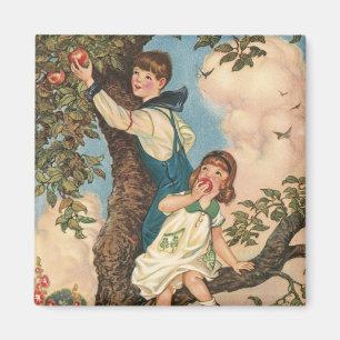 Imán Los árboles escaladores