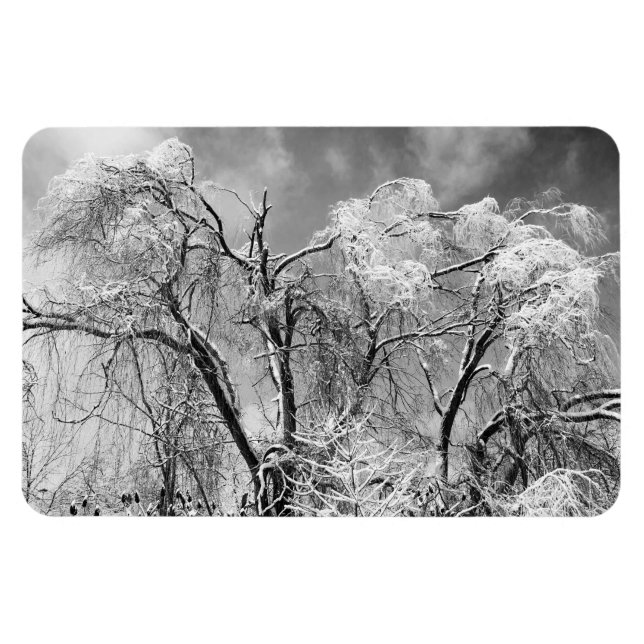 Imán los árboles llevan invierno (Horizontal)