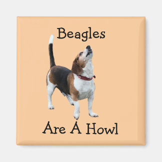 Imán Los Beagles Son Un Perro Aúl Gracioso