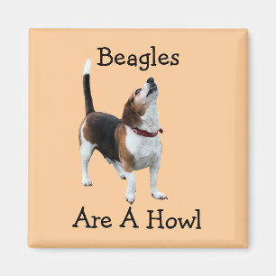 Imán Los beagles son un perro divertido del aullido