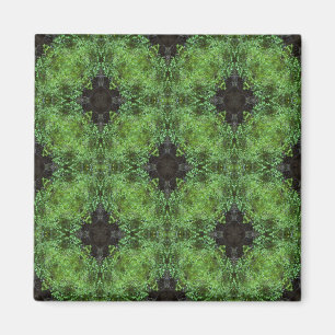 Imán Los bosques celtas......