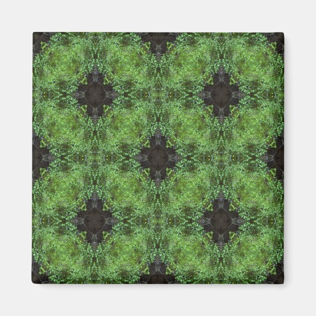 Imán Los bosques celtas...... (Frente)