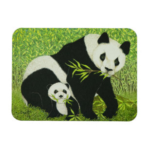 Imán Los buenos tiempos