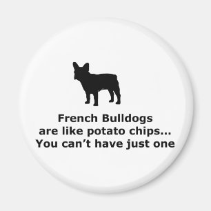 Imán Los bulldoges franceses son como las patatas