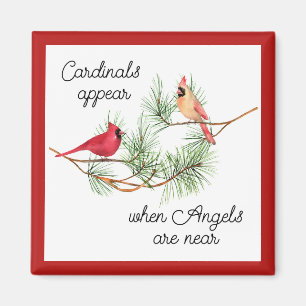 Imán Los cardenales aparecen cuando los ángeles están c